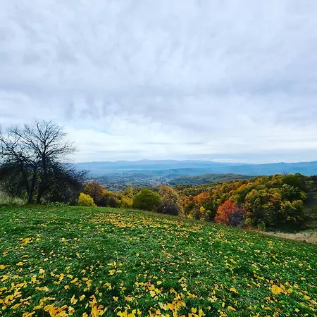 Suncev Breg * Slatina (Cacak)