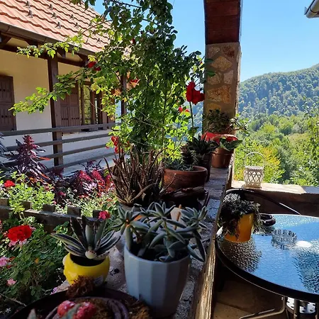 Apartment Suncev Breg Slatina