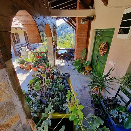 Suncev Breg Apartment
