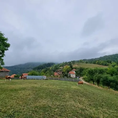 Apartmán Suncev Breg