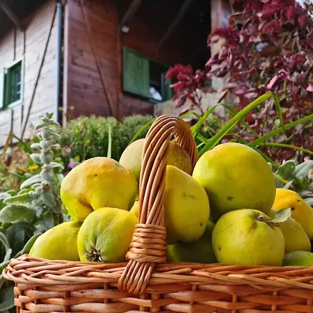 Suncev Breg * Slatina (Cacak)