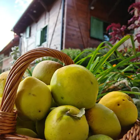 Apartmán Suncev Breg