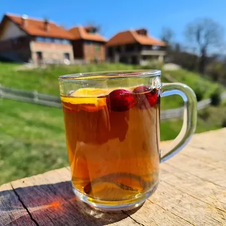 Suncev Breg Apartment