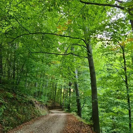 Apartmán Suncev Breg