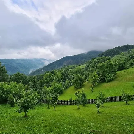 Suncev Breg Apartmán *