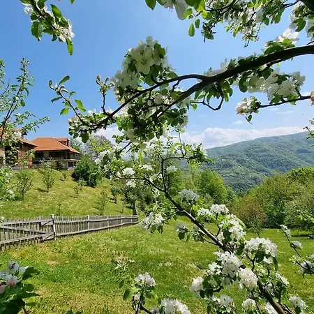 Suncev Breg Apartment Slatina