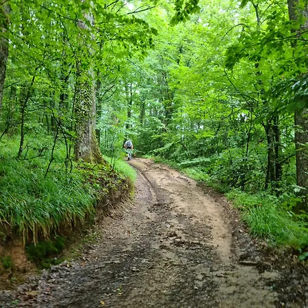 Apartmán Suncev Breg Slatina (Cacak)
