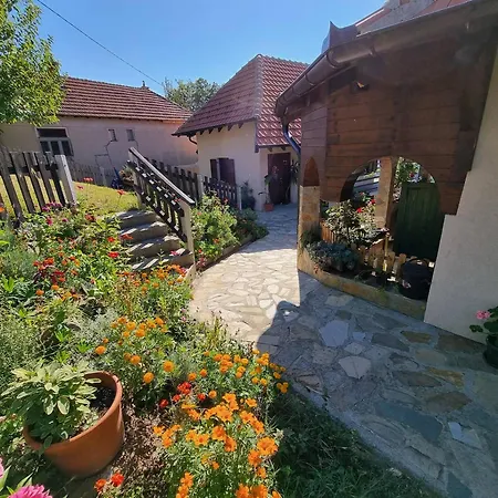Suncev Breg Apartment