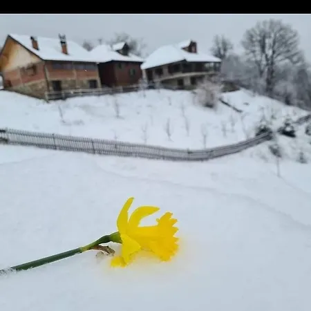 Suncev Breg Apartmán *