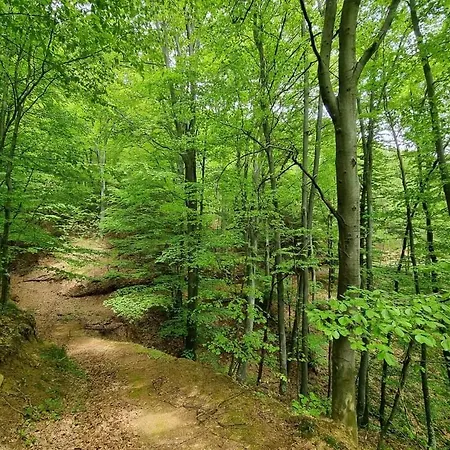 Suncev Breg Apartmán *