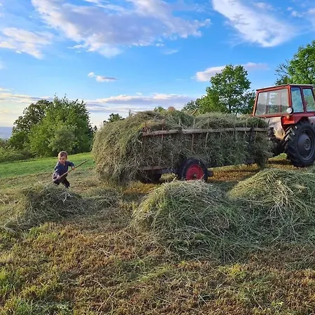 Suncev Breg Apartmán