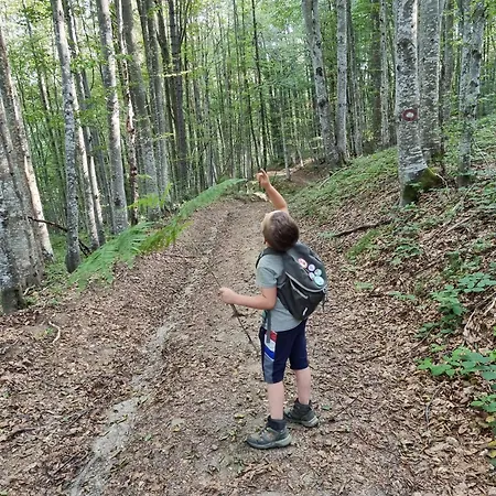 Apartmán Suncev Breg Slatina (Cacak)