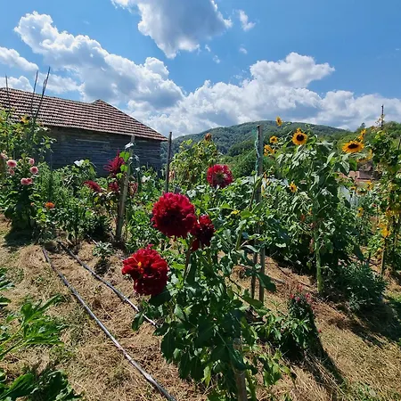 Suncev Breg * Slatina (Cacak)