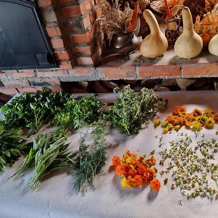 Apartmán Suncev Breg Slatina (Cacak)