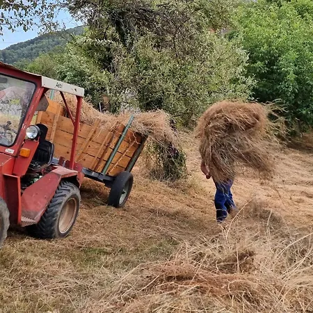 Suncev Breg Apartmán *