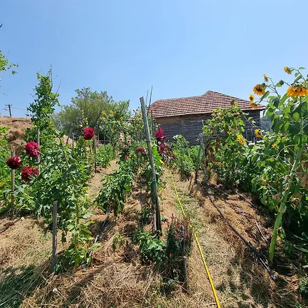 Suncev Breg Apartmán