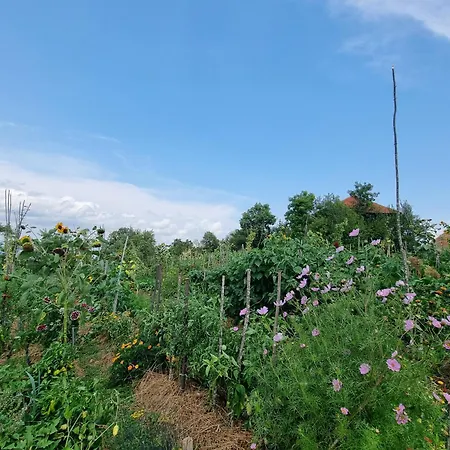 Suncev Breg Apartmán *