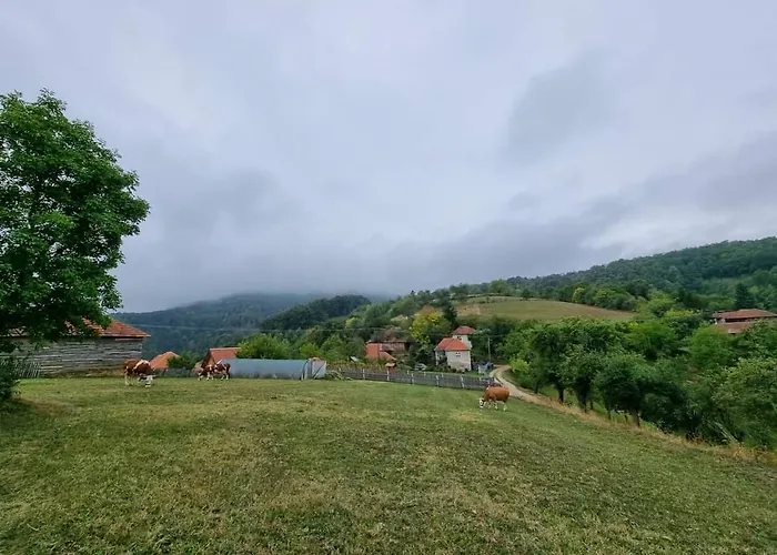 아파트 Suncev Breg