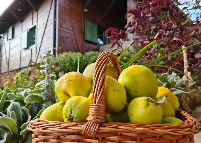 Suncev Breg * Slatina (Cacak)