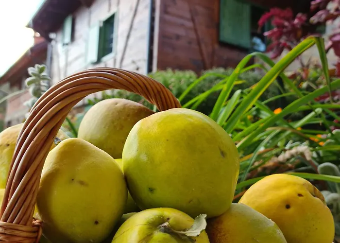 아파트 Suncev Breg