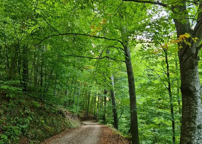 아파트 Suncev Breg