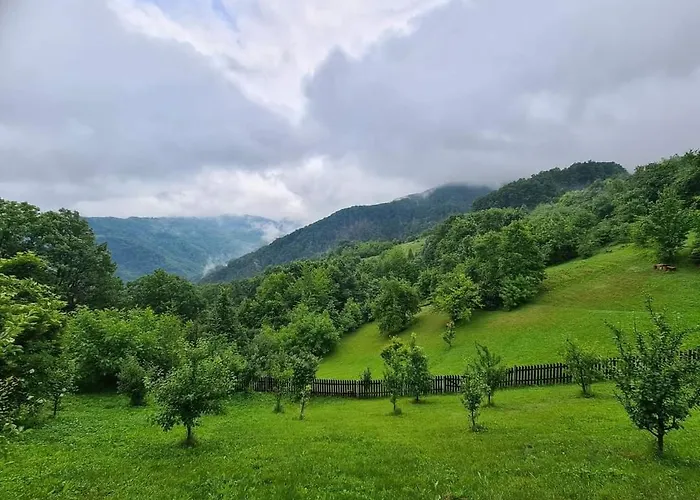 Suncev Breg 아파트 *