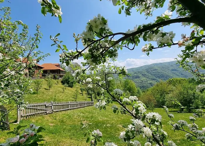 Suncev Breg 아파트 Slatina (Cacak)