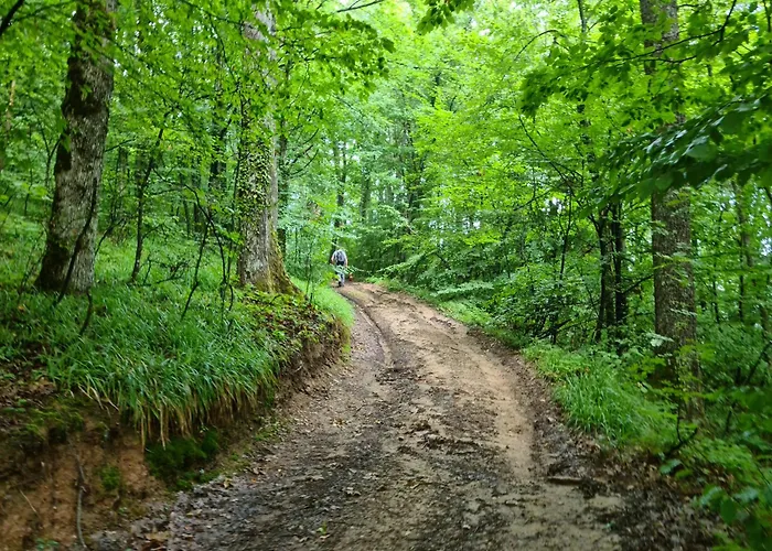 아파트 Suncev Breg Slatina (Cacak)