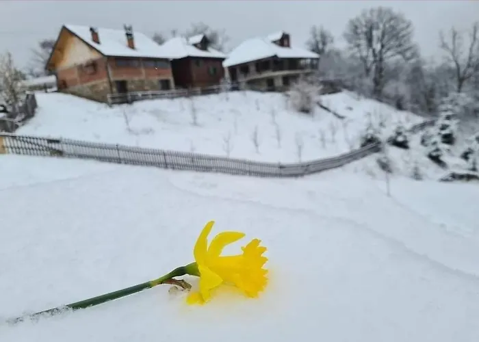 Suncev Breg 아파트 *