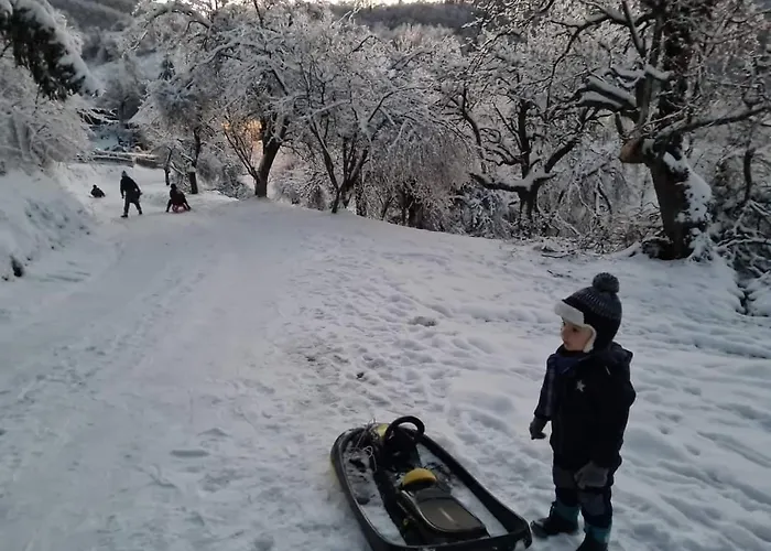 Suncev Breg 아파트 Slatina (Cacak)