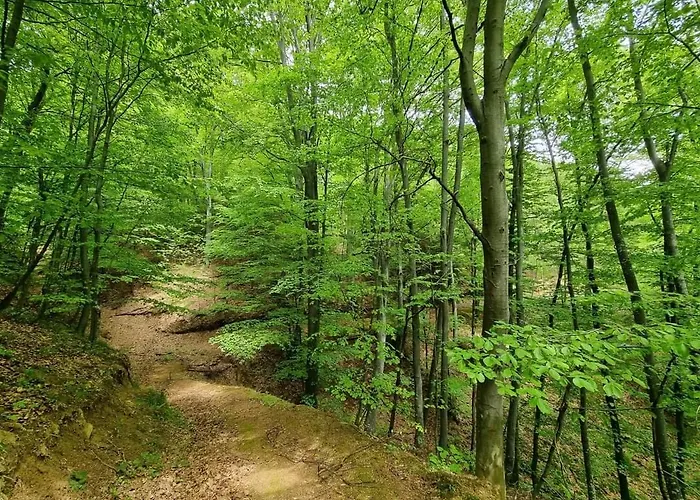 Suncev Breg 아파트 *