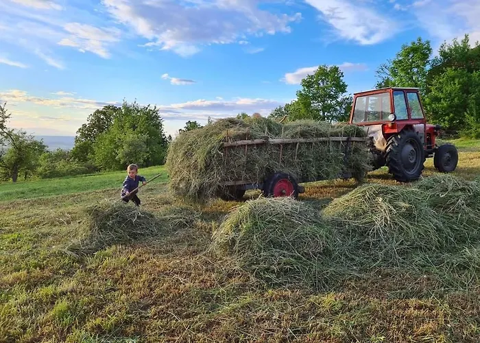 Suncev Breg 아파트