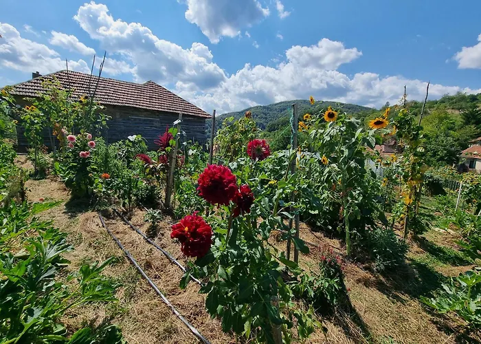 Suncev Breg * Slatina (Cacak)