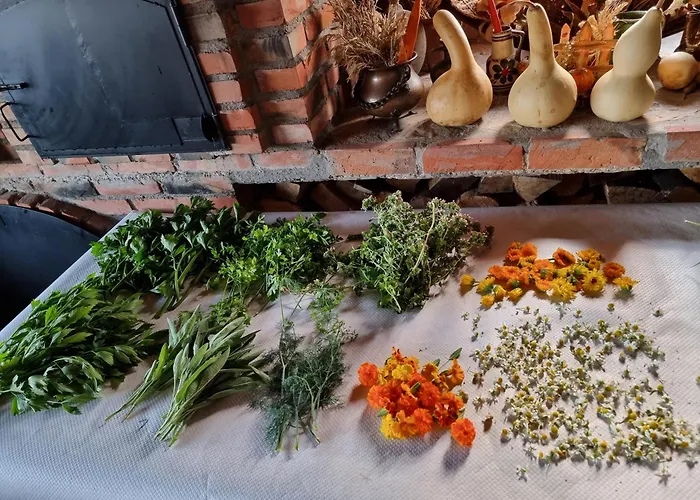 아파트 Suncev Breg Slatina (Cacak)