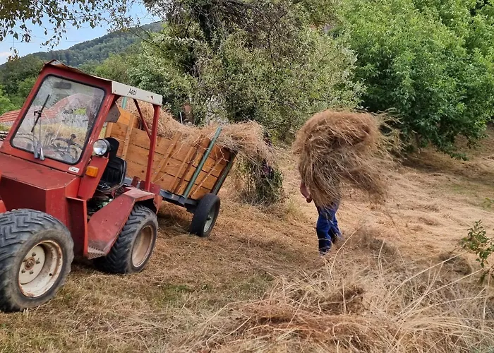 Suncev Breg 아파트 *