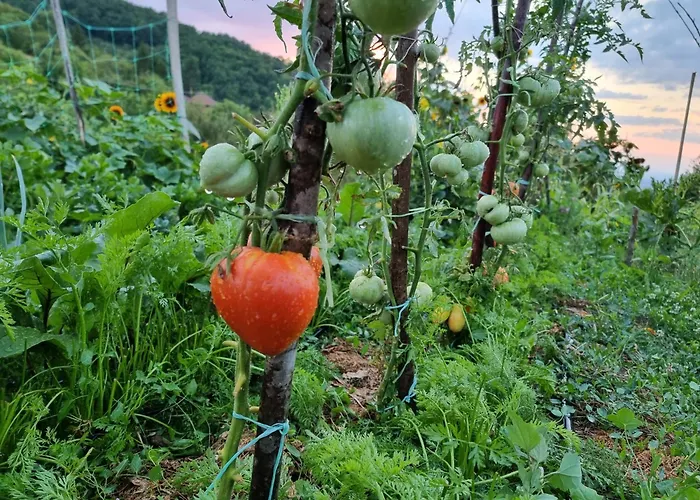 아파트 Suncev Breg Slatina (Cacak)