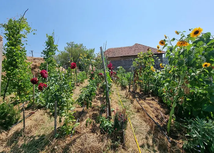 Suncev Breg 아파트