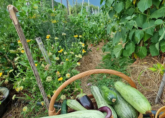 아파트 Suncev Breg