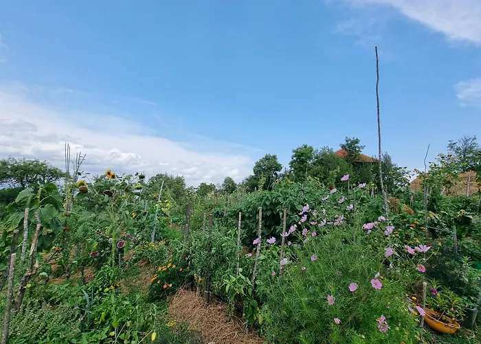 Suncev Breg 아파트 *